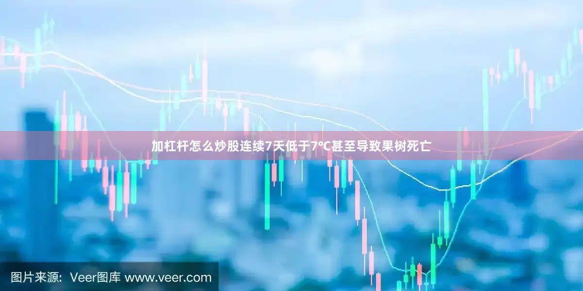 加杠杆怎么炒股连续7天低于7℃甚至导致果树死亡