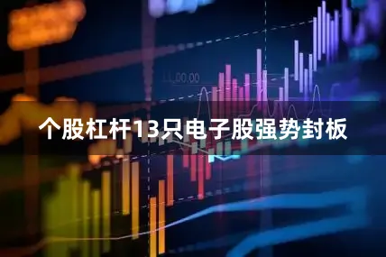 个股杠杆13只电子股强势封板