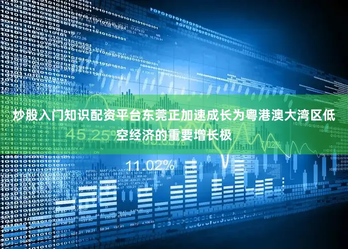 炒股入门知识配资平台东莞正加速成长为粤港澳大湾区低空经济的重要增长极