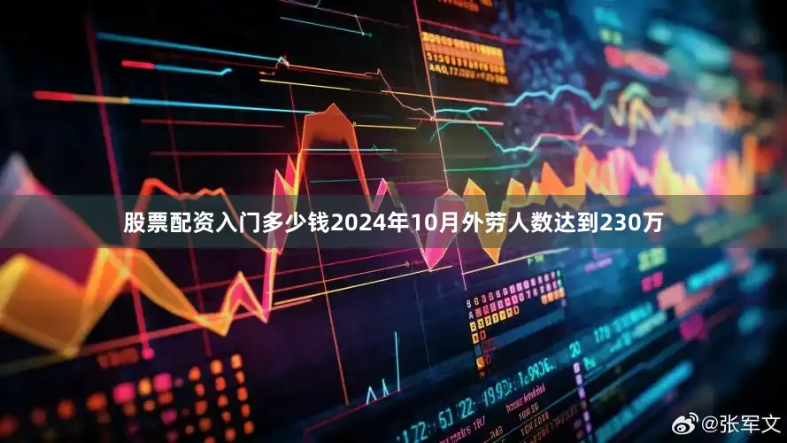 股票配资入门多少钱2024年10月外劳人数达到230万