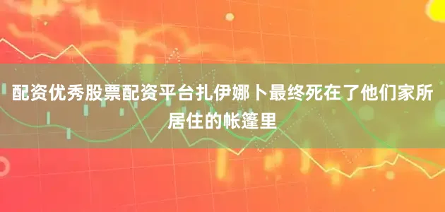 配资优秀股票配资平台扎伊娜卜最终死在了他们家所居住的帐篷里