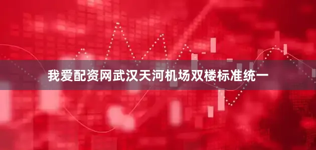 我爱配资网武汉天河机场双楼标准统一