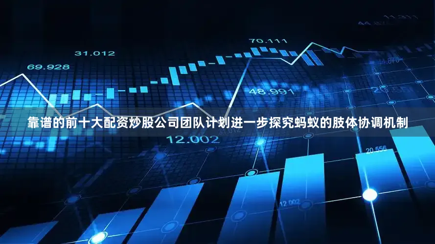 靠谱的前十大配资炒股公司团队计划进一步探究蚂蚁的肢体协调机制