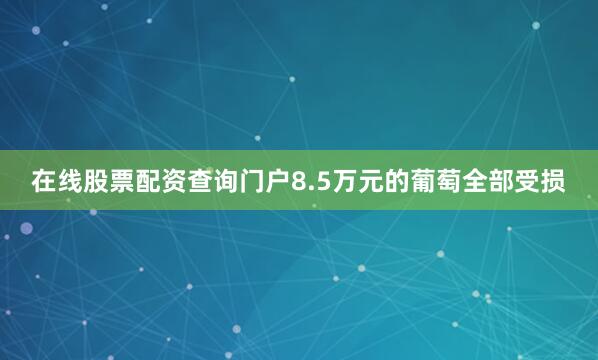 在线股票配资查询门户8.5万元的葡萄全部受损
